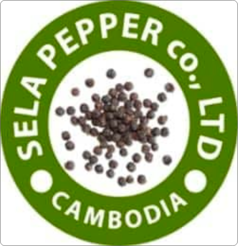 SELA PAPER